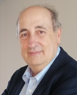 Luis Salvador-Carulla